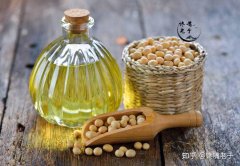 玉米胚芽健康食用油